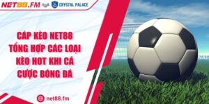 Cáp Kèo Net88 Tổng Hợp Các Loại Kèo Hot Khi Cá Cược Bóng Đá