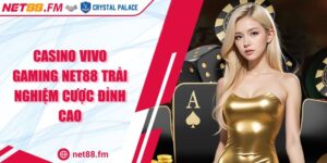 Casino ViVo Gaming Net88 Trải Nghiệm Cược Đỉnh Cao