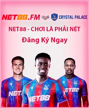 Hình chơi là phải nét