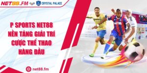 P Sports Net88 Nền Tảng Giải Trí Cược Thể Thao Hàng Đầu