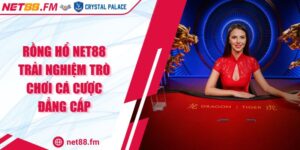 Rồng Hổ Net88 Trải Nghiệm Trò Chơi Cá Cược Đẳng Cấp