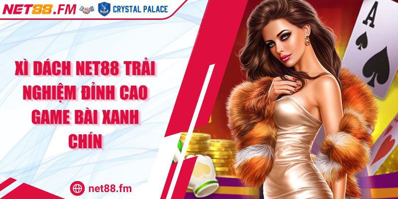 Xì Dách NET88 | Trải Nghiệm Đỉnh Cao Game Bài Xanh Chín 1 Xì Dách NET88 Trải Nghiệm Đỉnh Cao Game Bài Xanh Chín